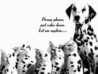 dalmatians.jpg