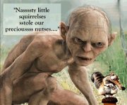 Scrat_humor.jpg