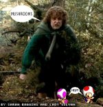 Mushrooms.jpg