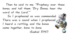 dry bones .jpg