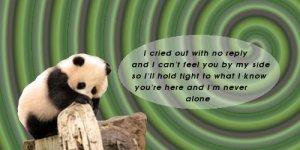 panda banner text2.jpg