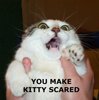 Kitty.jpg