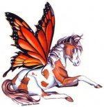 Fairy Horse.jpg