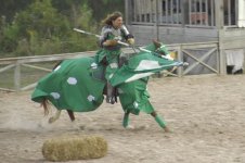 green joust.jpg