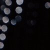 1F286_Cwhite-spots.jpg