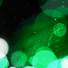 Untitled-27.png