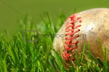 Ball in the Grass - Chapter 1.jpg