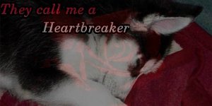 Heartbreaker24.jpg