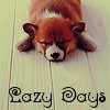 lazydays.jpg