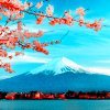 flowers.jpg