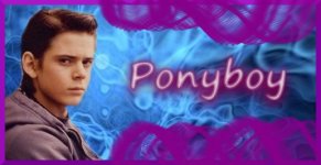 pony.jpg