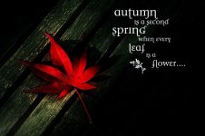 FlowerLeaves.jpg