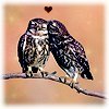 tweettweet.jpg