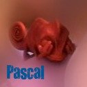 red pascal.jpg