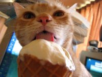 kitty and ice cream 2.jpg