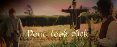 hobbitsfrodoandsamdontlookbackbanner.jpg