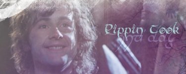 pippinbanner.jpg