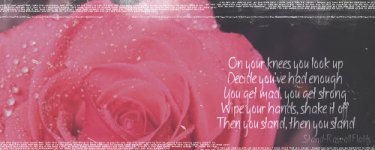 erinsrequestofStandbyRAscallFlattsrosebanner.jpg