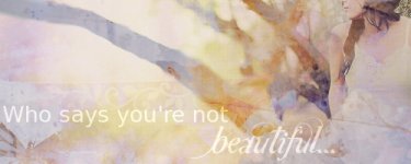 whosaysyouarentbeautifulbanner.jpg