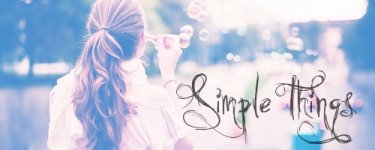 simplethingsbanner.jpg