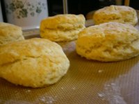 home made biscuit 2.jpg