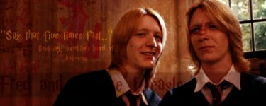 fredandgeorgeweasleybanner.jpg