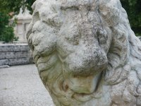 Afrodisias lion.jpg