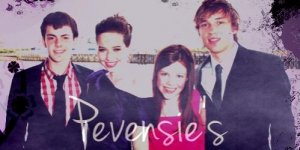 pevensiesbanner.jpg
