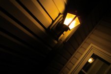 Light.jpg