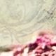 hpyersrequestbeachavvie1.jpg