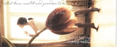 senseandsensabilityquotebanner.jpg