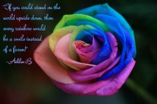 rainbow rose.jpg