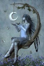 fairy-542534_10151203619232477_332401229_n.jpg