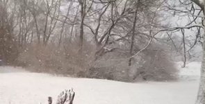 snow.jpg snow.jpg