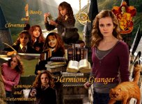 Hermione-Granger-hermione-granger-16006573-1065-784.jpg